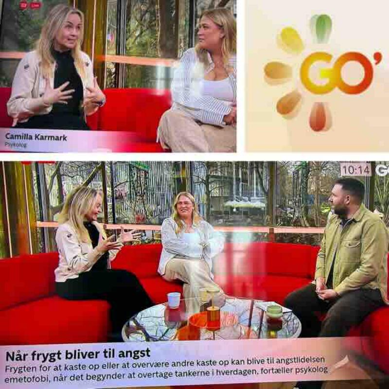 Collage af Camilla i Go' morgen danmark